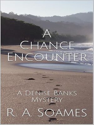 cover image of A Chance Encounter